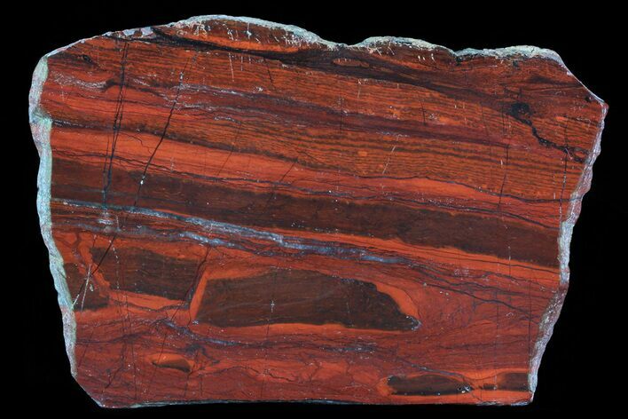 Polished Tiger Iron Stromatolite - ( Billion Years) #76120
